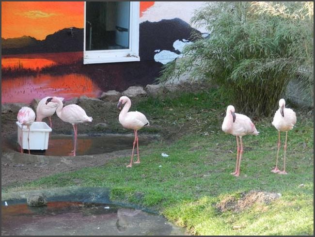 Bad Liebenstein, Tierpark