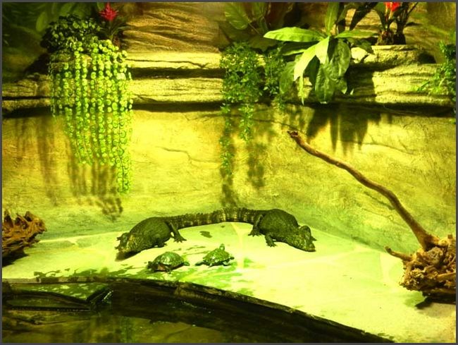 Bad Liebenstein, Tierpark