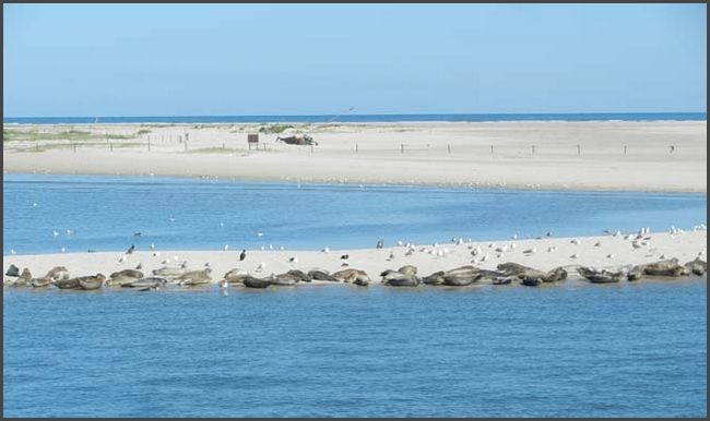 Norderney 2016