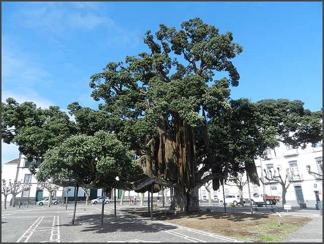 Azoren 2017 - Ponta Delgada