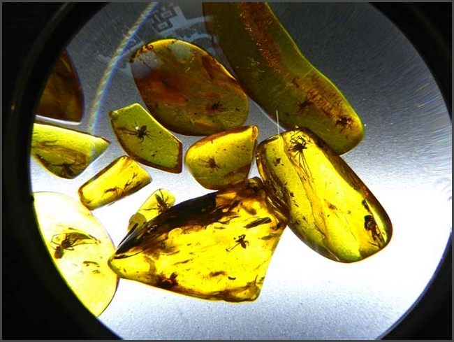 Litauen - Kurische Nehrung