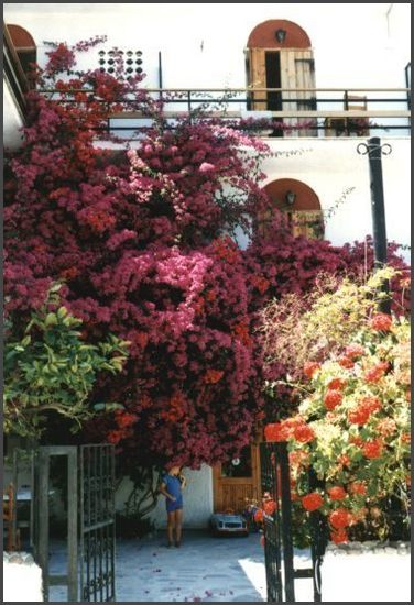 1986 Griechenland - Insel Aegina