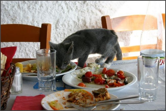 Santorin 2005