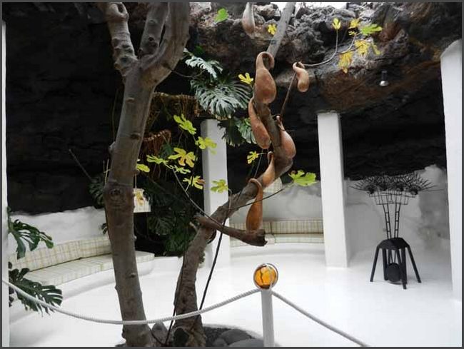 Fundation Cesar Manrique