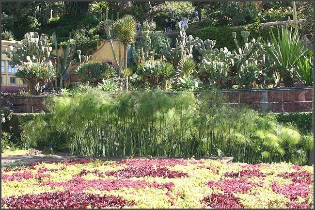 Madeira 2006 - Botanischer Garten in Funchal