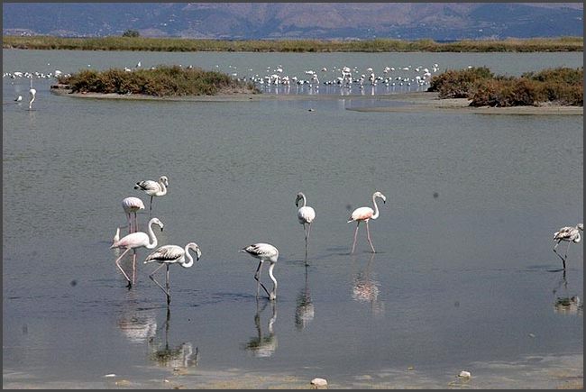 2018 Peloponnes - Aegion Aliki Beach