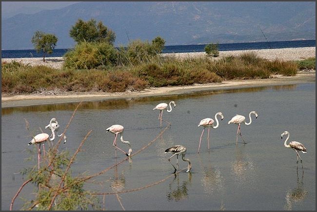 2018 Peloponnes - Aegion Aliki Beach