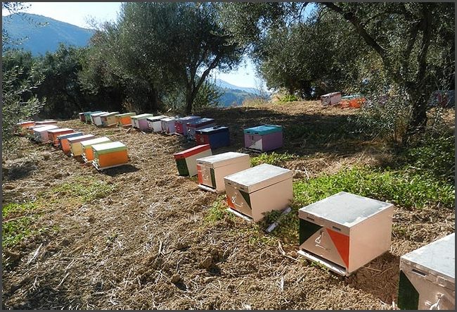 2019 Peloponnes - Bienenst&ouml;cke