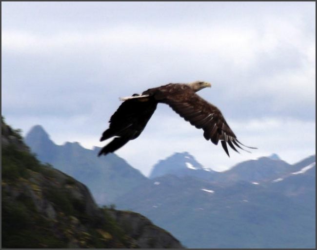 2026 Norwegen - Lofoten