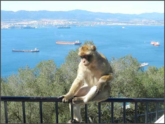 Gibraltar