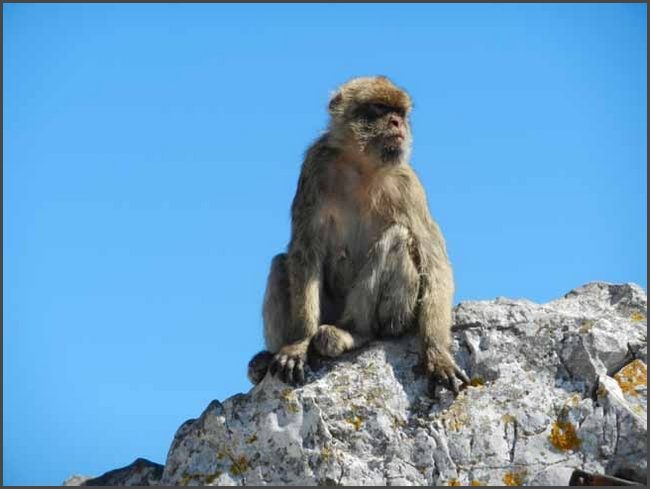 Gibraltar