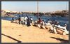 Ägypten - Wüste bis zum Nil