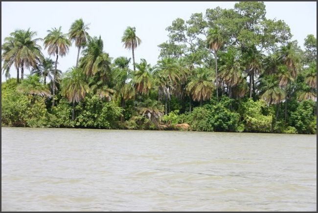Gambia 2007 - Ufer des Gambiaflu&szlig;