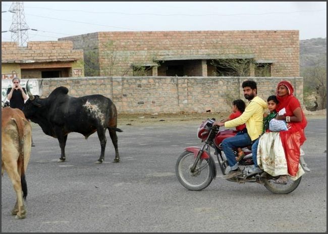 Indien - Rajasthan