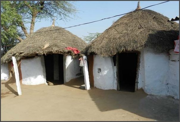 Indien - Rajasthan