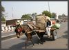 Indien - Rajasthan