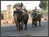 Indien - Rajasthan Jaipur