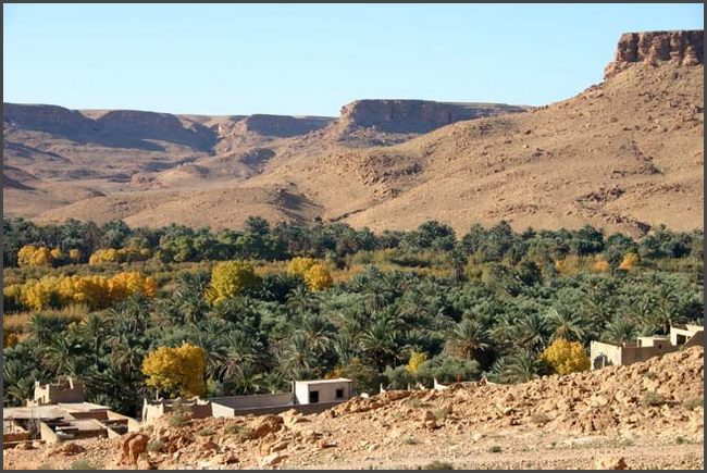 Oase bei Erfoud