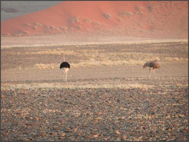 Namibia -  D&uuml;nen des Sossusvlei - Namib W&uuml;ste