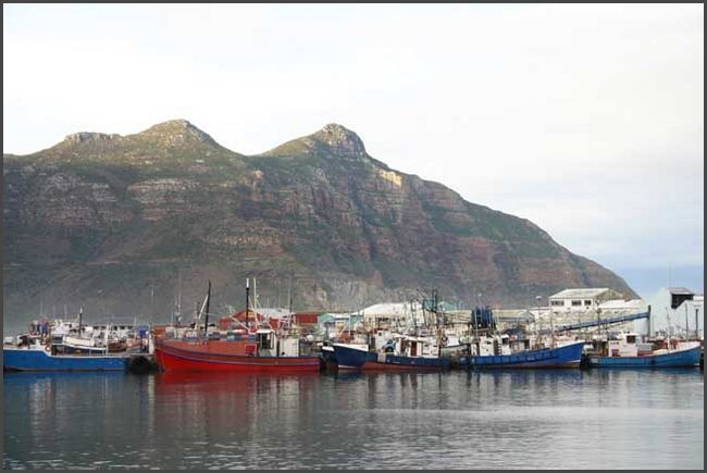 Südafrika - Hout Bay