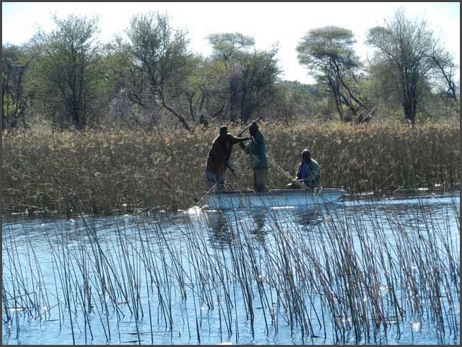Botswana - Okawango Delta