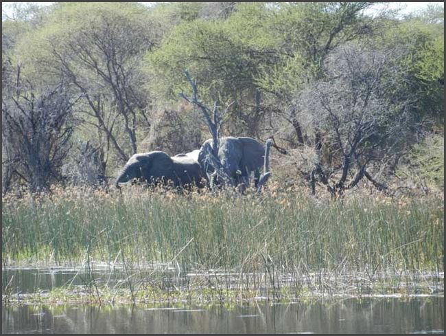 Botswana - Okawango Delta