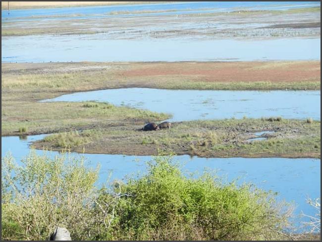 Botswana - Chobe Nationalpark