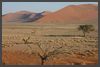 Namibia -  Dünen des Sossusvlei - Namib Wüste