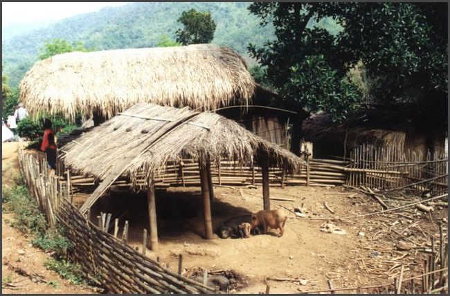 Thailand - Bergdorf Yaos bei Chiang Rai
