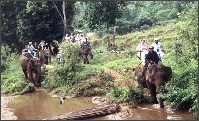 Thailand - Elefanten bei Chiang Mai