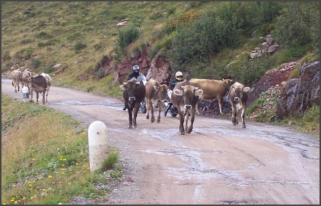 Gardasee-Tour 2005