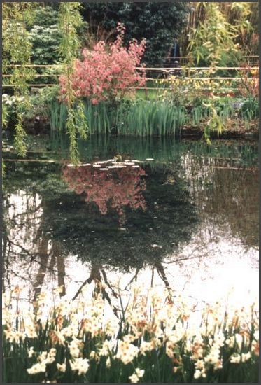 Normandie - Garten von Monet