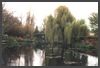 Normandie - Garten von Monet