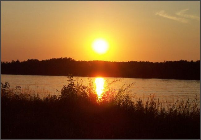 Österreich - an der Donau bei Tulln