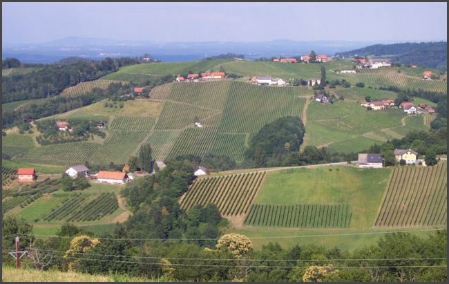 Österreich - Weinberge in der Südsteiermark