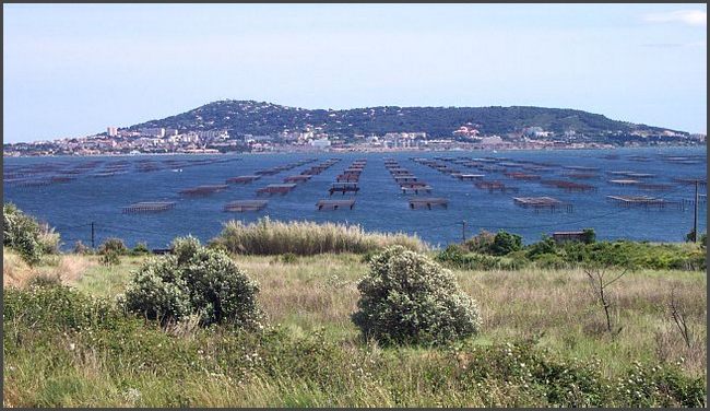 Blick auf Sete