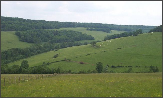 Burgund