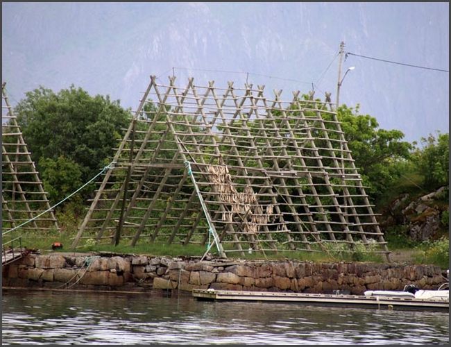 2026 Norwegen - Lofoten Stockfisch