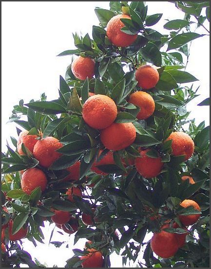 2003 T&uuml;rkei im Januar