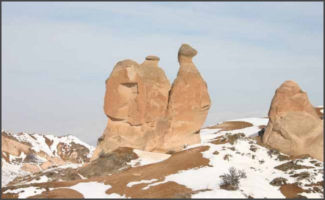 T&uuml;rkei 2012 - Kappadokien Kamel