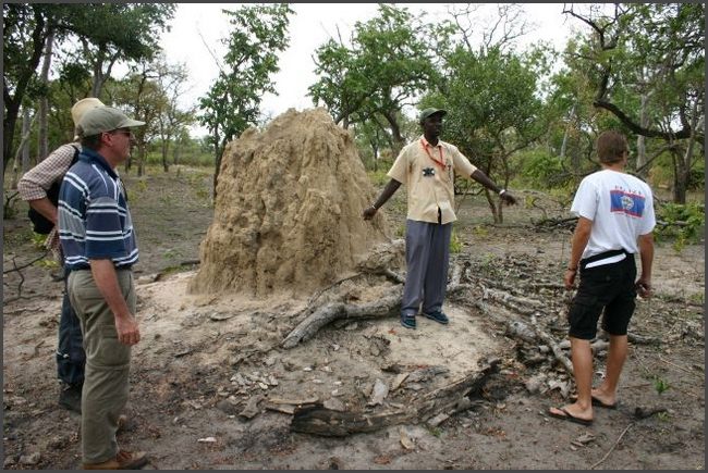 Gambia 2007 - Safaripark im Senegal
