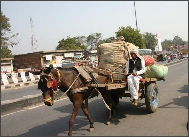 Indien - Rajasthan
