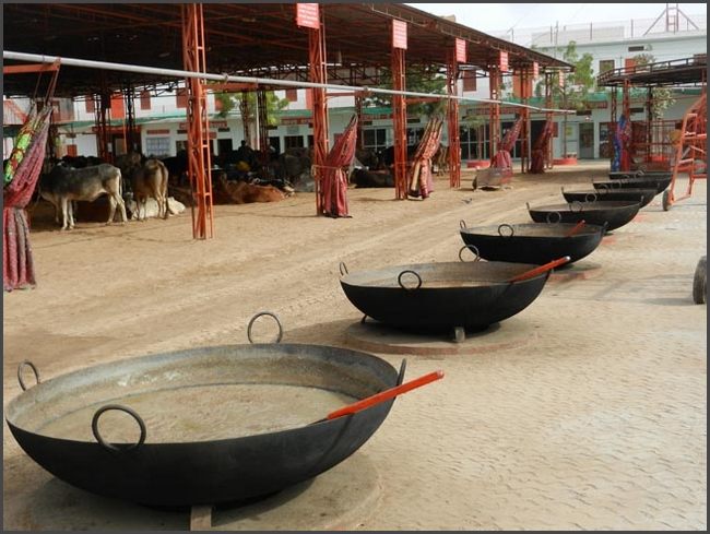 Indien - Rajasthan Tierkrankenhaus