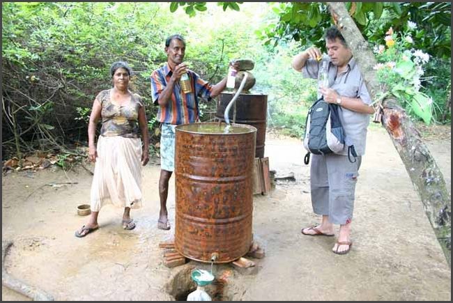 Sri Lanka 2009 - Arag Schwarzbrenner