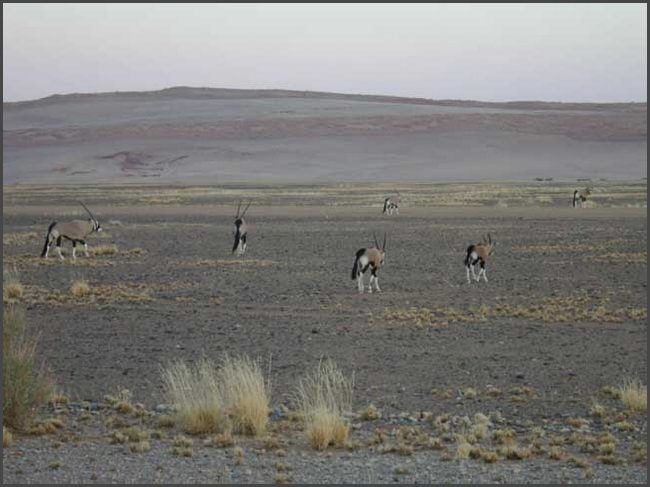 Namibia -  D&uuml;nen des Sossusvlei - Namib W&uuml;ste