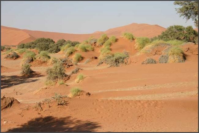 Namibia -  D&uuml;nen des Sossusvlei - Namib W&uuml;ste