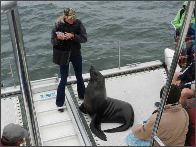 Namibia - Walvis Bay