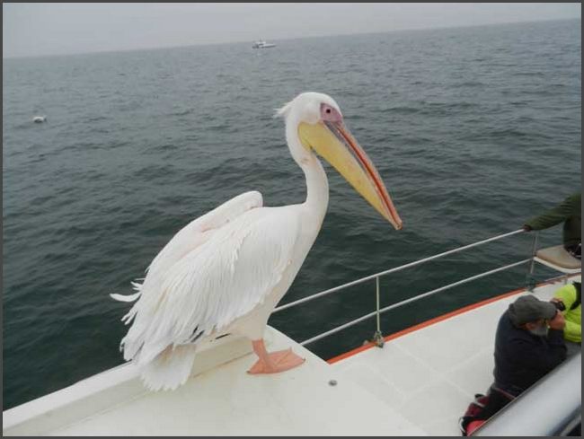 Namibia - Walvis Bay
