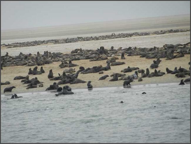 Namibia - Walvis Bay