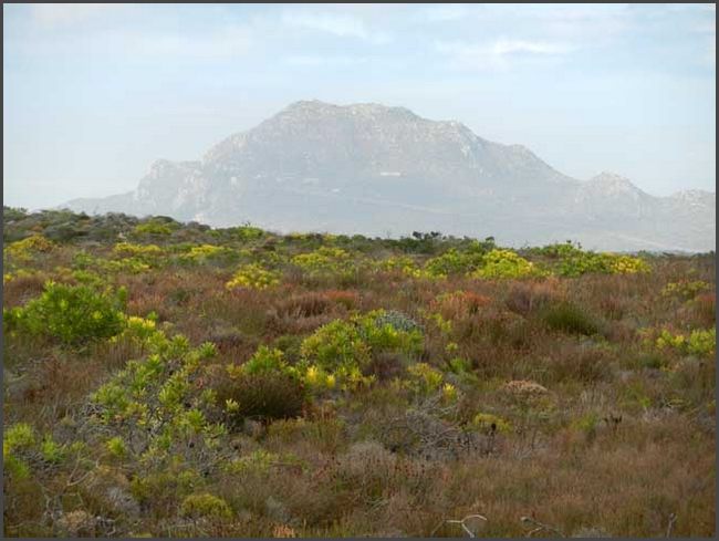 S&uuml;dafrika